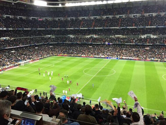 动物油精炼设备