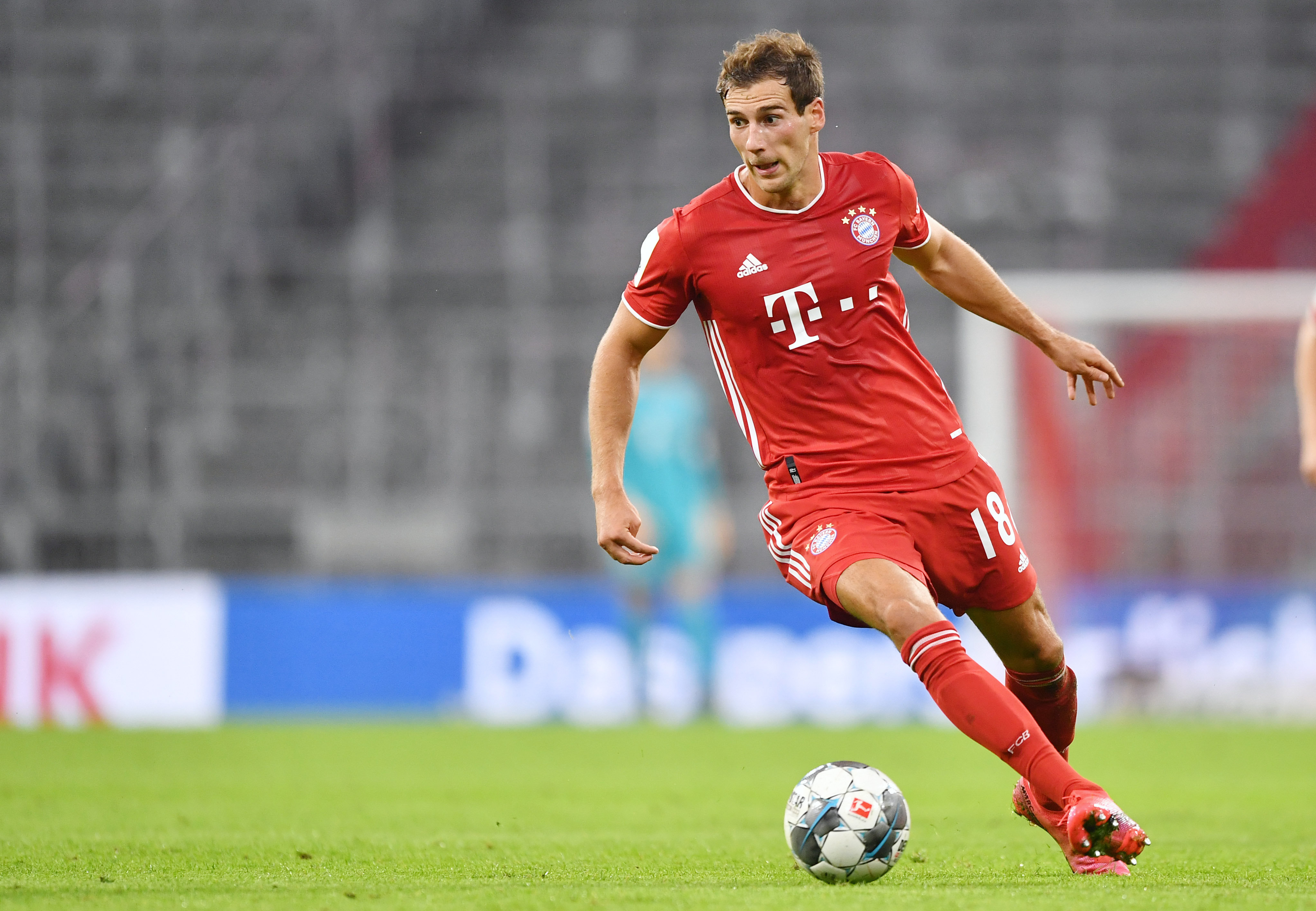 动物油精炼设备